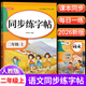 金枝葉二年級上冊字帖2026新版語文同步練字帖小學生字帖練字專用每日一練筆畫筆順描紅練字本兒童寫字帖