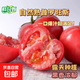 【減脂首負】正宗普羅旺斯西紅柿生吃番茄蔬菜沙拉生鮮超市快遞 彩箱 4.5斤 凈重 陜西普羅旺斯【兒時(shí)味道】