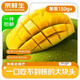 京鮮生海南金煌芒果 凈重4.5斤 單果150g+ 新鮮水果 源頭直發(fā)