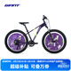 捷安特（GIANT）福音戰士EVA(Geek)吉克26寸油壓碟剎9速避震青少年山地自行車(chē) EVA紫色 26×14 建議身高150-175cm