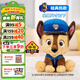 汪汪隊立大功（PAW PATROL）毛絨玩具狗狗陪睡玩偶經(jīng)典款阿奇中號坐姿可愛(ài)公仔男女孩生日禮物