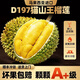什果樂(lè )貓山王榴蓮（D197）馬來(lái)西亞進(jìn)口帶殼整果液氮冷凍水果禮盒 尊享果凈重4.6-5.1斤（包4-5房）