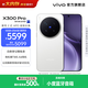 vivo X300 Pro 蔡司2億APO超級長(cháng)焦 藍圖自研影像雙芯 持久流暢OriginOS 6 直屏拍照手機 大內存性?xún)r(jià)比 簡(jiǎn)單白 16GB+1TB 官方標配
