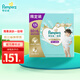 幫寶適（Pampers）一級幫拉拉褲嬰兒尿不濕小內褲 XXL碼50+6片【一級幫拉拉褲】