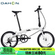 大行（DAHON）P10折疊自行車(chē)20英寸10速鋁合金成人通勤V剎 PAA003 漸變白