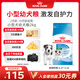 皇家狗糧 幼犬狗糧 寵物 小型犬 MIJ31 全價(jià)犬糧 2-10月 2KG