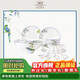 瑪戈隆特 骨瓷餐具套裝碗碟套裝輕奢中國風(fēng)碗盤(pán)碟勺禮盒包裝鸚鵡16頭4人份