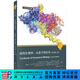 結構生物學(xué)：從原子到生命（原書(shū)第二版） 科學(xué)出版社
