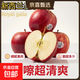 新西蘭皇家加力果嘎啦蘋(píng)果香甜脆嫩多汁濃郁果香新鮮進(jìn)口當季鮮果 3斤【小果 約12顆】店長(cháng)推薦 新西蘭進(jìn)口皇家嘎啦果Royal gala