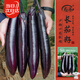 壽禾 長(cháng)茄子種子苗紫皮春季菜園種植菜種籽 濰豐黑豹2號長(cháng)茄種子120粒