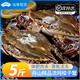 舟山梭子蟹新鮮冷凍特大野生大螃蟹鮮活海蟹海鮮水產(chǎn)非母飛蟹肉蟹 9兩以上/只 【凈重5斤 舟山直發(fā)】