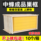 蜂之家中蜂成品巢框帶框巢礎蜜蜂蜂箱巢基成品巢脾全套養蜂專(zhuān)用工具