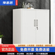 豫基恩文件柜加厚鐵皮柜矮柜儲物柜辦公柜工具柜抽屜柜茶水柜小柜子帶鎖 加厚 1020對開(kāi)門(mén)矮柜