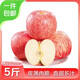 京鮮生山東煙臺紅富士蘋(píng)果 凈重5斤裝 果徑85mm起 新鮮水果 源頭直發(fā)