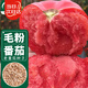 壽禾 毛粉沙瓤番茄種子種苗西紅柿冬春菜籽 濰育粉冠大番茄種子100粒