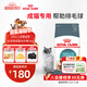皇家貓糧 成貓貓糧 去毛球 IH34 通用糧 12月以上 2KG