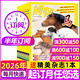 博物雜志2026年1/2/3月新【另有4月/全年/半年訂閱/2025年1-12月/典藏/增刊】中國國家地理出品 青少年版中小學(xué)科普自然知識 好奇號少年新知萬(wàn)物 博物君張辰亮過(guò)刊K 【半年訂閱】26年1