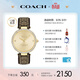 蔻馳（COACH）PARK系列 皮帶石英女表 14503456 禮物/送禮