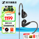 森海塞爾（Sennheiser）IE900/IE600/IE300旗艦級HIFI高保真超寬單動(dòng)圈單元可拆卸MMCX掛耳式耳機 高保真發(fā)燒有線(xiàn)耳機耳塞 IE300 【進(jìn)階HIFI高保真】