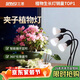三思植物補光燈仿太陽(yáng)全光譜 全光譜植物燈 盆栽花卉-30W三頭分區補光
