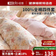 紅豆（Hodo）100%純棉四件套全棉床上用品春秋床單被套200x230cm 繁花簇1.5/1.8米床