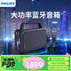 飛利浦（PHILIPS）SD228 戶(hù)外藍牙音箱 廣場(chǎng)舞 便攜K歌 低音炮 帶麥克風(fēng) 電木吉他民謠樂(lè )器音箱 雙麥版
