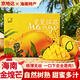 京地達芒果金煌芒海南新鮮樹(shù)熟芒果水果年貨禮盒凈重4.8斤390g+源頭直發(fā)