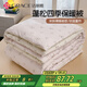 潔麗雅（Grace）被子被芯宿舍單人秋冬被加厚保暖被褥 150*200/6斤 森林熊