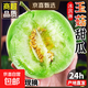 海南冰淇淋玉菇甜瓜10斤當季新鮮水果整箱 玉菇甜瓜帶箱5-6斤【凈重4.5-5斤】