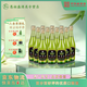 竹葉青酒 45度玻瓶竹葉青酒475mL 玻竹 山西杏花村 45度 475mL 酒廠(chǎng)直供 45度 475mL 12瓶