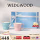 Wedgwood歡愉假日藍粉馬克對杯陶瓷馬克杯情侶對杯高顏值茶水杯咖啡杯