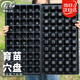 壽禾 穴盤(pán)育苗盆優(yōu)質(zhì)加厚多肉蔬菜種植缽 濰育育苗穴盤(pán)50孔5片