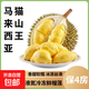 馬來(lái)西亞貓山王進(jìn)口液氮冷凍新鮮水果榴蓮D197 貓山王帶箱2.6-3斤包4房?jì)糁?.6斤