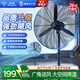 鉆石牌（DIAMOND）工業(yè)風(fēng)扇大風(fēng)力牛角扇強力風(fēng)扇銅芯電機商用吹除甲醛工廠(chǎng)車(chē)間工地立式搖頭落地風(fēng)扇WY 【常規款】650工業(yè)扇+2.6米加長(cháng)線(xiàn) 全新國標 鉆石品質(zhì)
