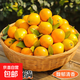【東東農場(chǎng)專(zhuān)供】廣西融安滑皮金桔純甜無(wú)酸新鮮水果整箱包郵現貨 4斤 滑皮金桔 中果(約35-40個(gè)/斤)
