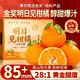 鮮級佳四川明日見(jiàn)甘平柑橘【多地次日達】3月新鮮應季香甜皮薄多汁水果 5斤【明日見(jiàn)甘平柑橘】 特大果【果徑80mm-85mm】香甜可口