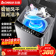 志高（CHIGO）全自動(dòng)洗衣機 波輪宿舍迷你小型家用 洗烘一體 智能洗脫一體機 大容量 風(fēng)干 波輪 7.5KG 智能風(fēng)干 藍光潔凈【超特惠】