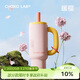 chakolab霸王杯陶瓷涂層內膽吸管保溫大容量學(xué)生高顏值辦公室水杯-暖櫻