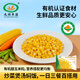 九洲豐園有機速凍甜玉米粒500g 什錦蔬菜 冷凍半加工蔬菜粒沙拉菜