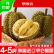 京地達榴蓮鮮果泰國甲侖凈重4斤起巴掌果保4-5房新鮮水果源頭直發(fā)包郵