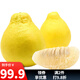 趣覓鮮江永香柚純甜沙田柚湖南永州特產(chǎn)正宗農家老樹(shù)柚子白肉新鮮水果 19斤大果袋裝9-12個(gè)
