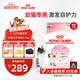 皇家幼貓貓糧 幼貓奶糕 K36 通用糧 4-12月 4.5KG