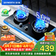 創(chuàng  )維（Skyworth）燃氣灶煤氣灶雙灶家用 5.0kW九孔聚能猛火鴛鴦灶具 臺式/嵌入式鋼Z209B液化氣