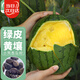 壽禾 西瓜種子種苗盆栽早熟黃心禮品瓜水果種籽 濰豐小鳳西瓜種子15粒