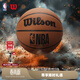 威爾勝（Wilson）官方NBA PLUS系列吸濕防塵成人標準7號球室內外通用籃球送禮物 【絕塵PLUS】WZ2023201CN7