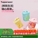 特百惠（Tupperware）迷你纖巧壺350ml3件套自制果飲咖啡男女學(xué)生夏季冷水壺飲料水杯子