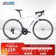 喜德盛公路自行車(chē)25款Rc200成人車(chē)14速變速車(chē) 白灰700C*480MM