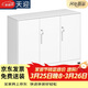 天迎文件柜鐵皮柜辦公室矮柜財務(wù)資料檔案柜TY-WJ2605