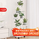 蝸家花架客廳落地式陽(yáng)臺置物架戶(hù)外庭院多肉花盆架層架擴展架可移動(dòng)