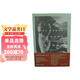 新名字的故事（李現推薦，全球暢銷(xiāo)近千萬(wàn)冊被翻譯成40多種語(yǔ)言，HBO熱播劇《我的天才女友》第二季小說(shuō)原著(zhù)譯者陳英人民文學(xué)出版社